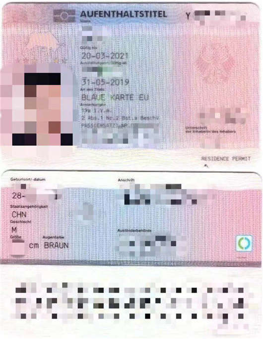 成功案例：祝賀張先生移民德國得償所愿