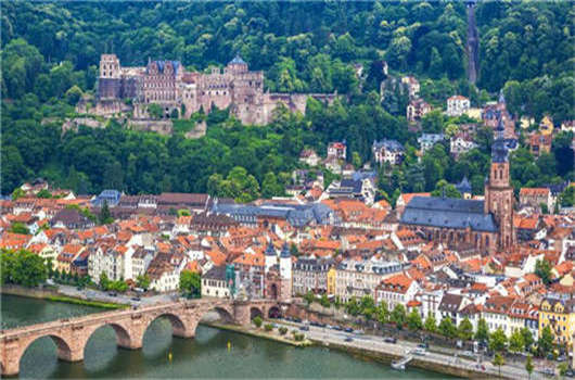 德國CDU漢堡介紹了公民選舉，每間公寓一棵樹