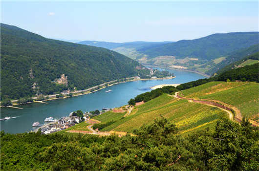 德國新政頒布：優(yōu)惠的媒體，昂貴的煙草