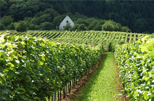 德國企業(yè)稅收您有必要了解一下！