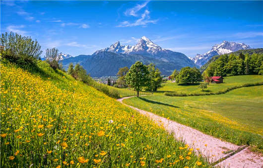 2020年3月1日新德國移民政策開始實行，什么專業最受歡迎那？